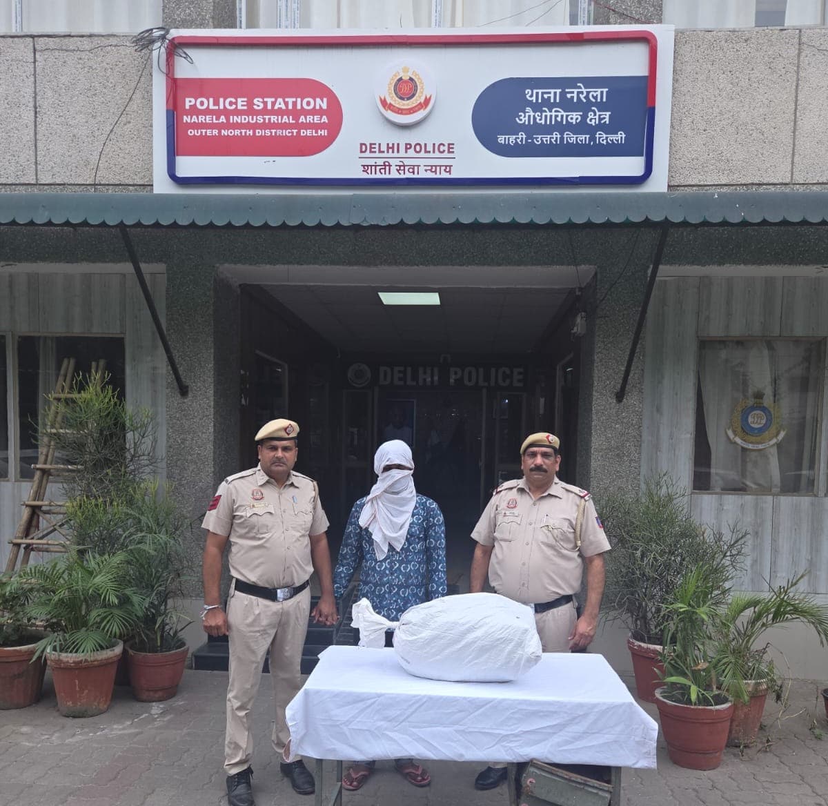 Delhi : नरेला NIA पुलिस का बड़ा एक्शन, 10.670 किलो गांजा बरामद; एक आरोपी गिरफ्तार
